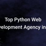 top python web development agency