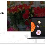 Flower shop website design and development agency in UK scaled