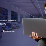 The Role of Admin and Sub-Admin Modules in Efficient Inventory Management